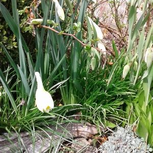 Meet your Posher, Rita